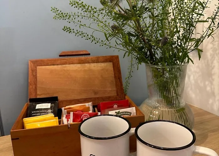 Estudio Nuevo Centro De